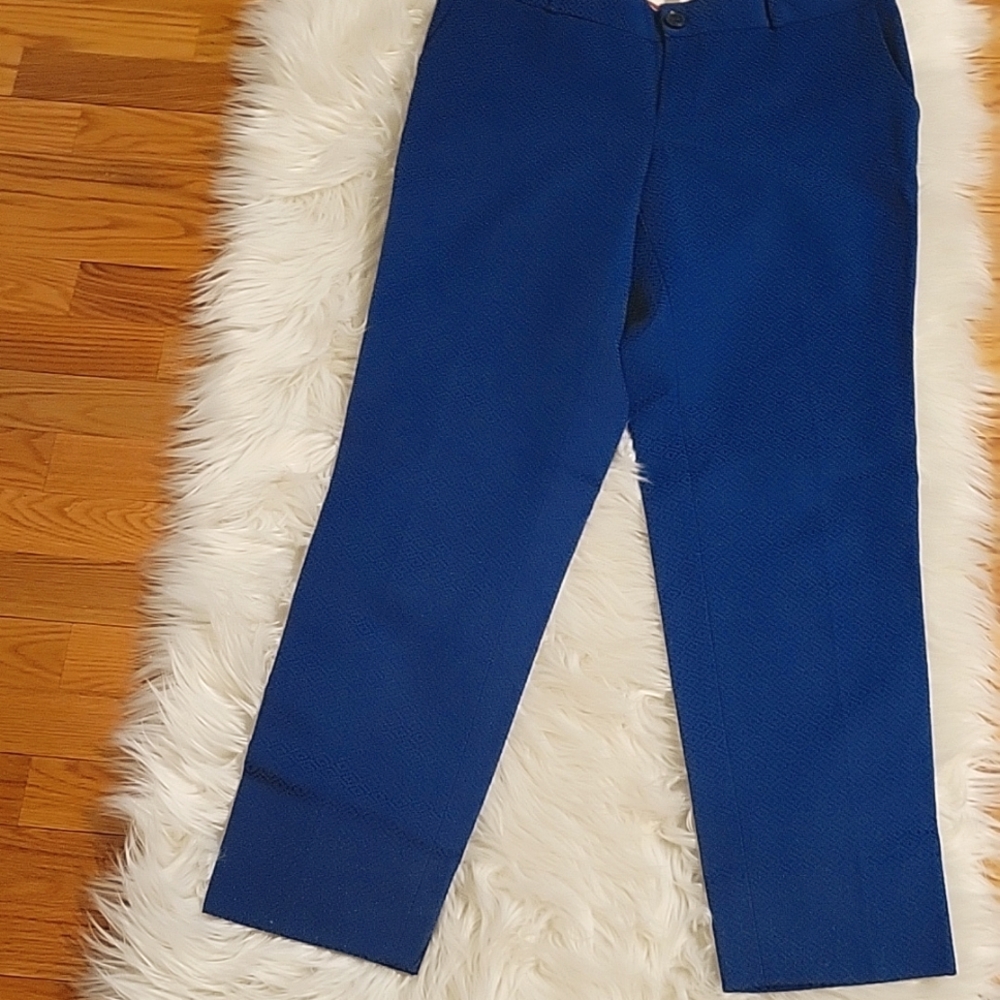 Banana Republic blue textured pants